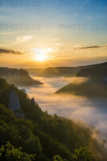 View from Eichfelsen to Werenwag Castle with morning fog