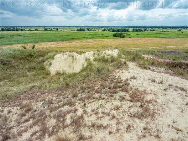 Dry sandy grassland in the Binnenduenen nature reserve near Klein Schmoelen