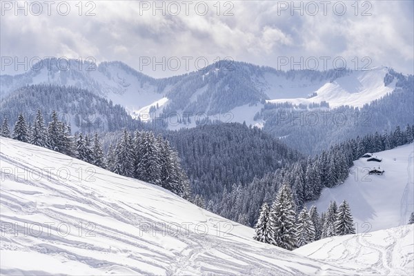 Snowy mountains in winter