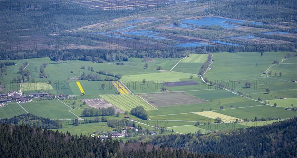 View of fields