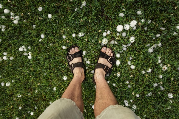 Golfball-sized hailstones in meadow