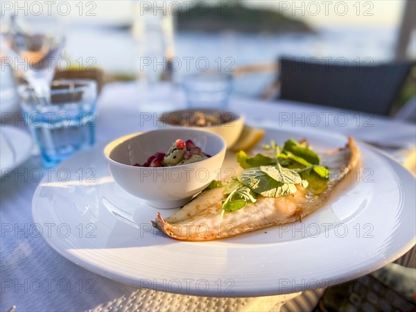 Grilled turbot fillet with side dishes