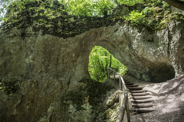 Hiking trail at the Amalienfelsen