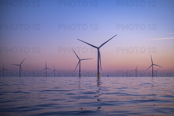 Norther Offshore Wind Farm near Knokke