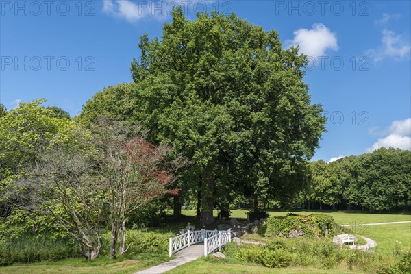 Landscape garden and castle park