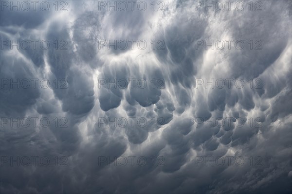 Mammatus