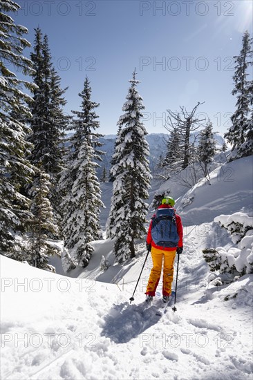 Young woman on ski tour