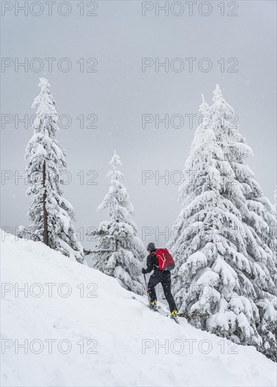 Ski tourers