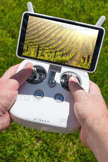 Hands holding drone quadcopter controller with beautiful grape vineyard view on screen