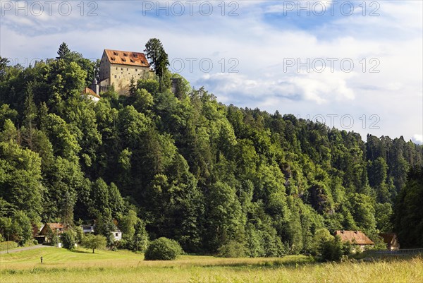 Castle Rabeneck