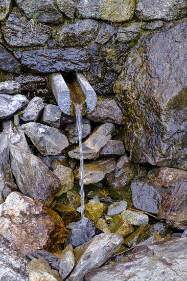 Etsch spring