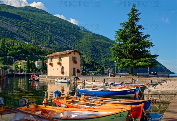 Small harbour with colourful boats