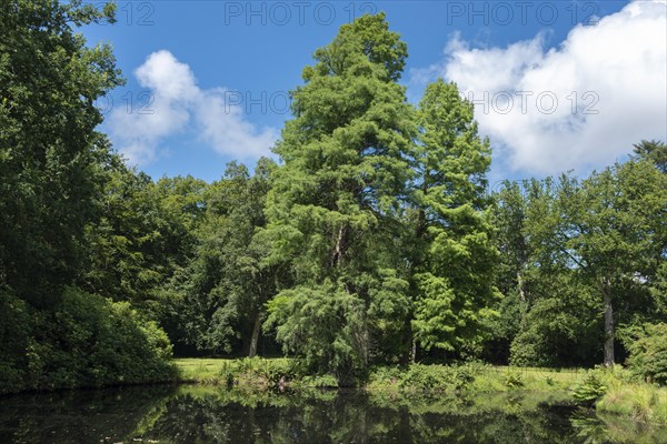 Landscape garden and castle park