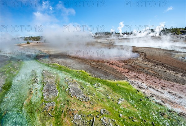 Red mineral deposits and green algae at a thermal spring