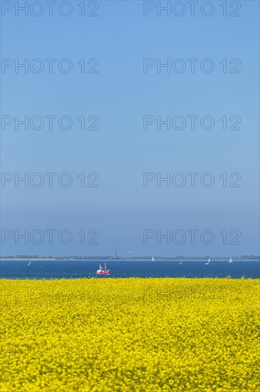 Boats