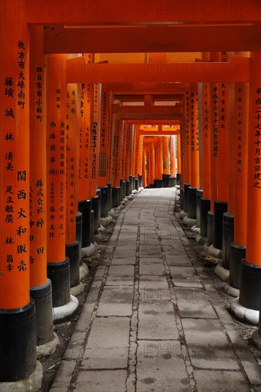 Famous torii gates on the path to Fushimi Inari Taisha shrine on Mount Inari in Kyoto