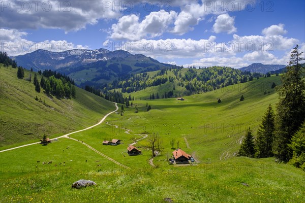 Arzmoosalmen