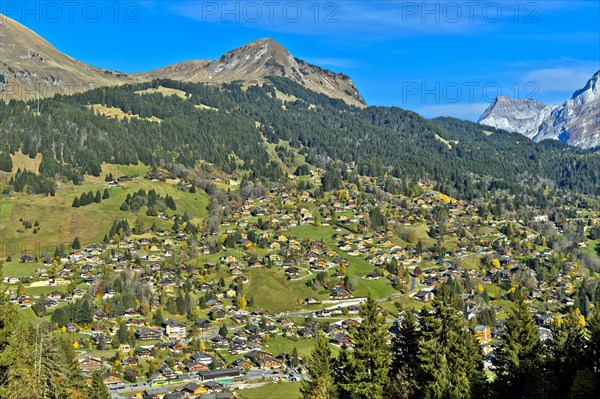 Chalets and holiday homes in Les Diablerets