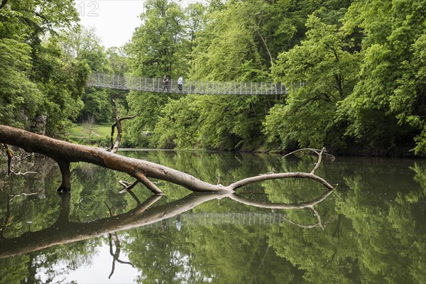 Suspension bridge at the Amalienfelsen