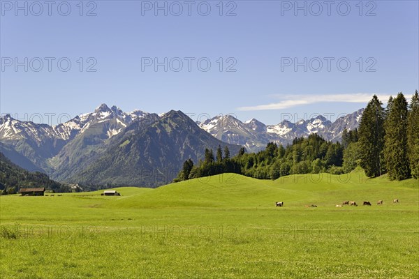 View from the meadows near the village Reichenbach to the mountain panorama of the Allgaeu Alps