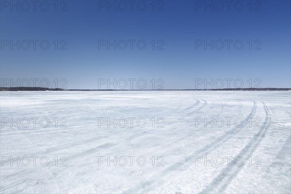 Winter landscape