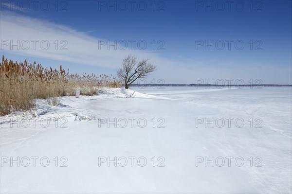 Winter landscape