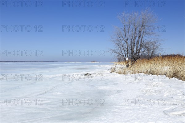 Winter landscape