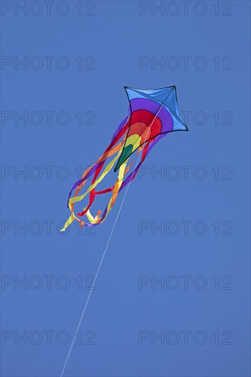 Flying kite