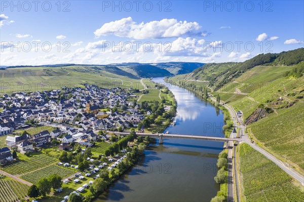 The Moselle at Trittenheim