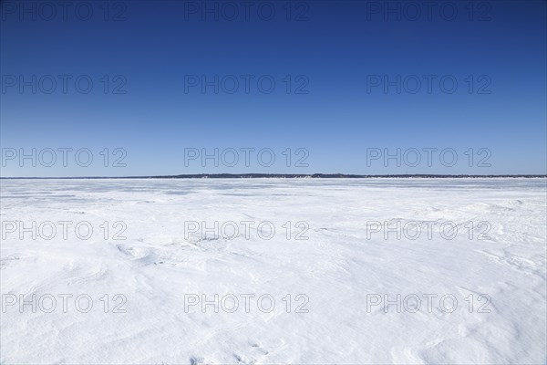 Winter landscape