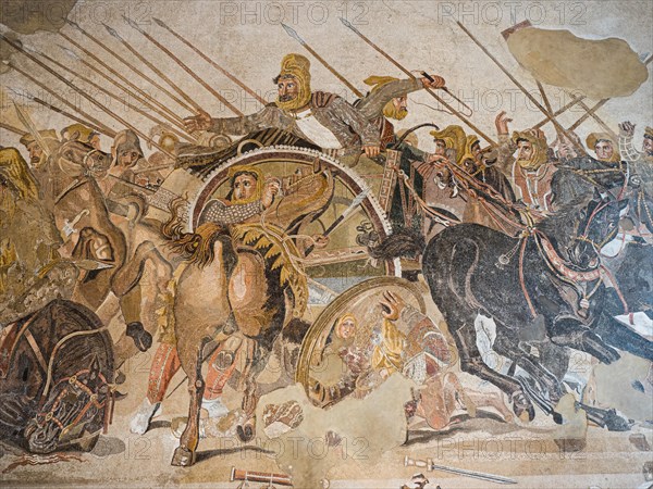 Battle of Alexander