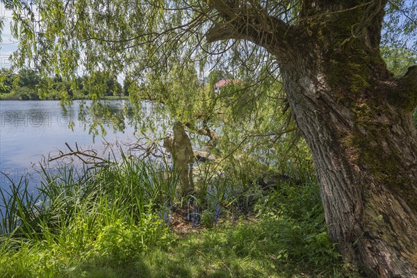 Sculpture of Hercules by Erwin Franz Wiegerling with weeping willow