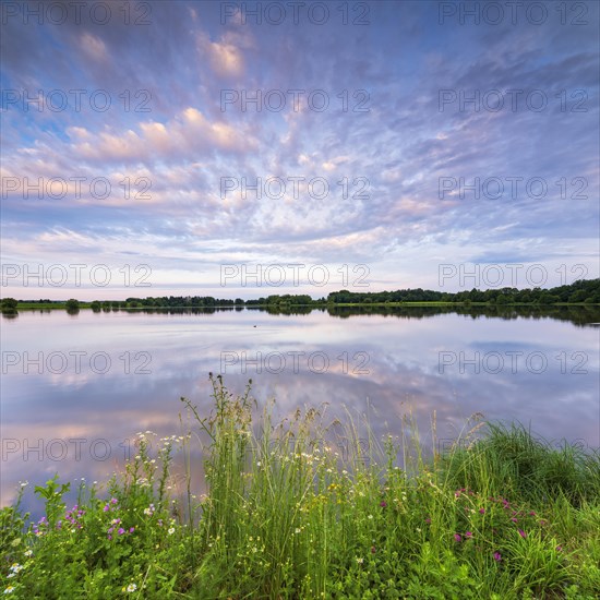 New pond in the Plothen pond area near Morgenrot