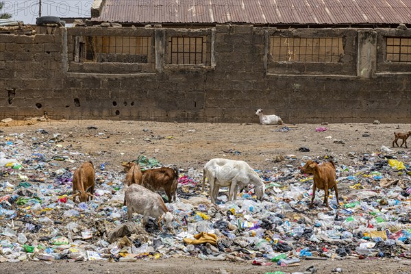 Rubbish on the streets of Bauchi