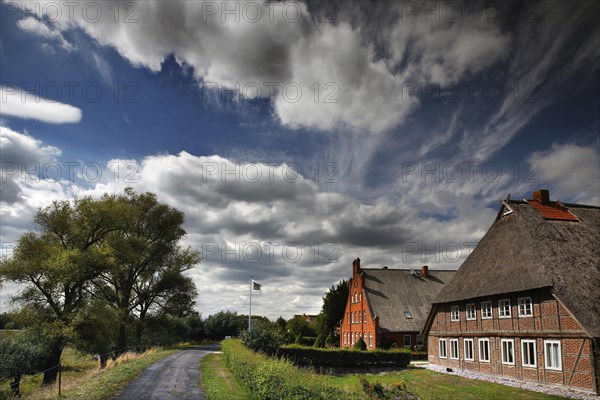 Thatched hall houses in the marshland village of Konau