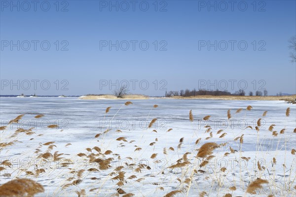 Winter landscape