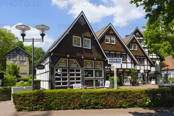 Half-timbered houses at Karl Molke Platz