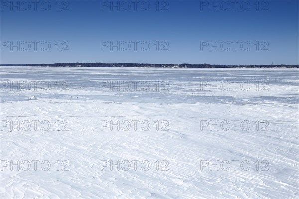 Winter landscape