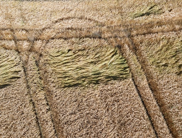Drone image