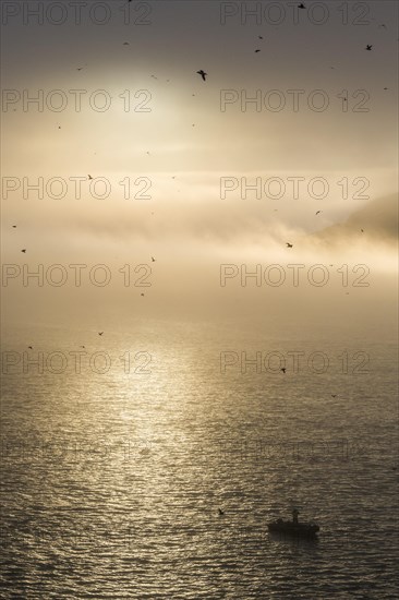 Zodiac in moody backlight before Skala Rubini or Rubini rock