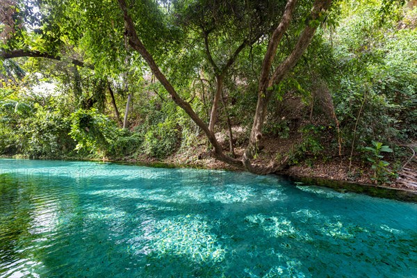 Turquoise Wikki warm springs