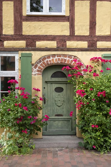 Roses blooming in front of a half-timbered house