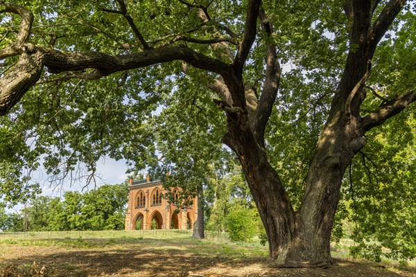 Court arbour