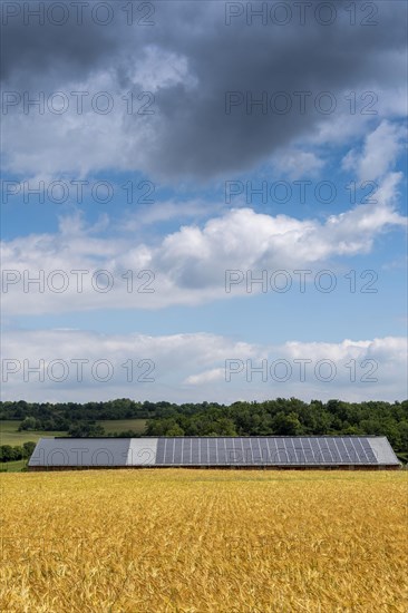 Solar panels on a roof in the Limagne plain