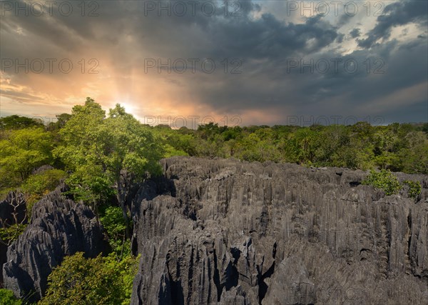 Needle stone rocks in the Tsingy de Bemaraha National Park in western Madagascar