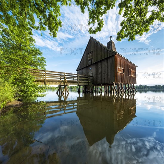 The pile house in the house pond