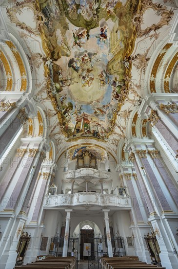 Organ gallery and ceiling frescoes