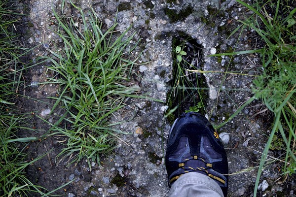 Hiking shoe