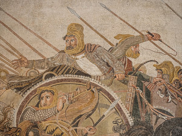 Battle of Alexander