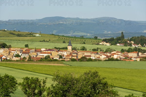 View of the village of Lamontgie in Limagne plain